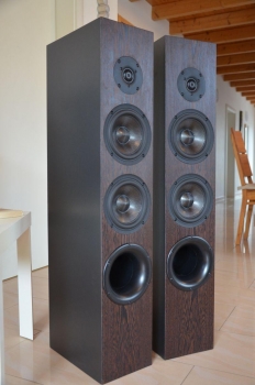 Beatclub Base - audiphile power floorstanding speaker black
