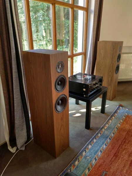 DIY Loudspeaker Satorique S3 – Walnut wood
